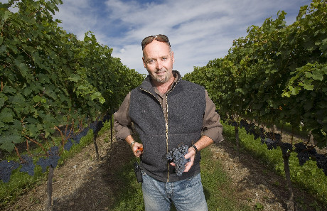 Hillebrand winemaker Craig McDonald in the vineyard.