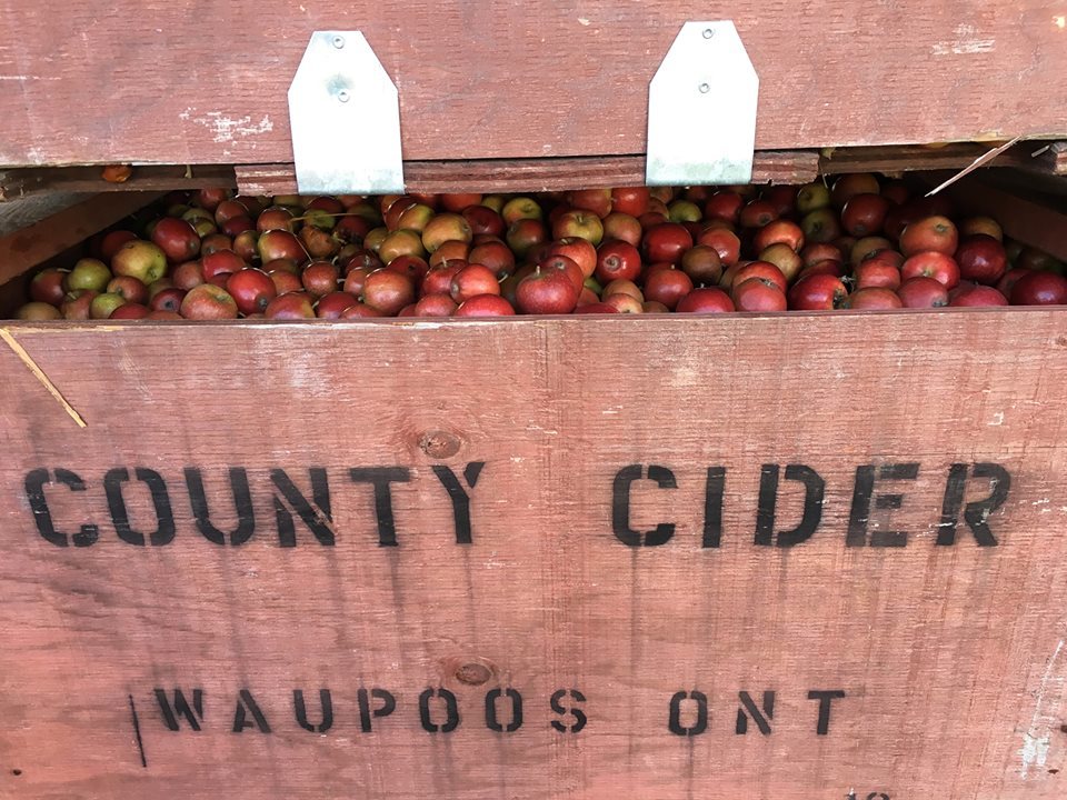 Ontario apple cider