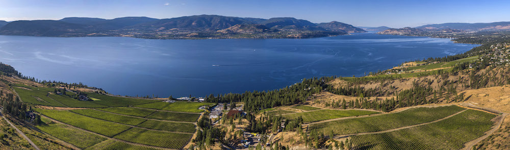 B.C. Wine Wire: New wine reviews for CedarCreek, Culmina, Monte Creek, Sperling, Hester Creek and JoieFarm B.C. Wine Wire: New wine reviews for CedarCreek, Culmina, Monte Creek, Sperling, Hester Creek and JoieFarm