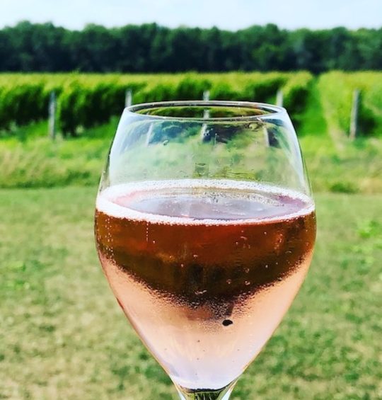 Our three-day a-MAIS-zing adventure of wine, beer and food in dog-friendly Prince Edward County Our three-day a-MAIS-zing adventure of wine, beer and food in dog-friendly Prince Edward County