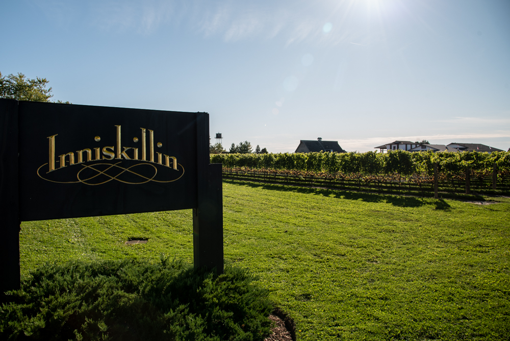 inniskillin winery tour