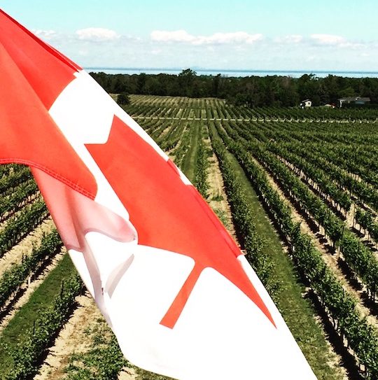 Canada stuck in a time warp on cross-border wine buying, plus Vintages picks and new rosés from Vineland Estate Canada stuck in a time warp on cross-border wine buying, plus Vintages picks and new rosés from Vineland Estate