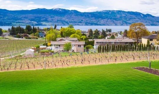 B.C. Wine Report: Reaching for the Summit at Mt. Boucherie, plus Castoro de Oro and Township 7 reviews B.C. Wine Report: Reaching for the Summit at Mt. Boucherie, plus Castoro de Oro and Township 7 reviews