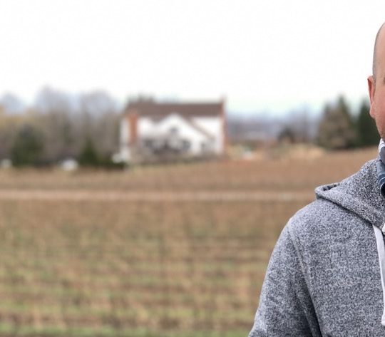 The wines at Fielding winery on the Beamsville Bench bring comfort and joy The wines at Fielding winery on the Beamsville Bench bring comfort and joy