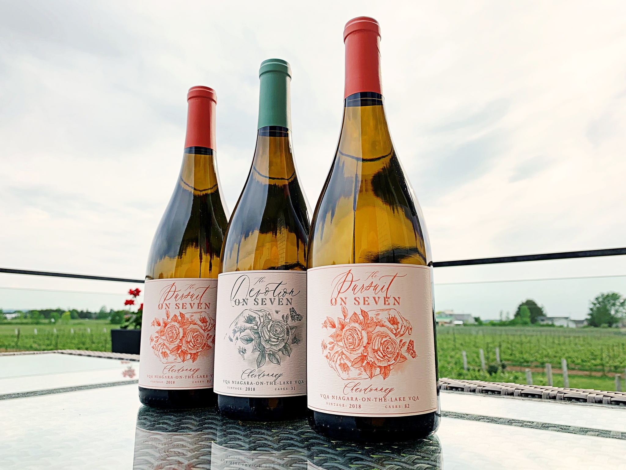 Ontario Wine Report: Spotlight on On Seven wines - Wines In Niagara