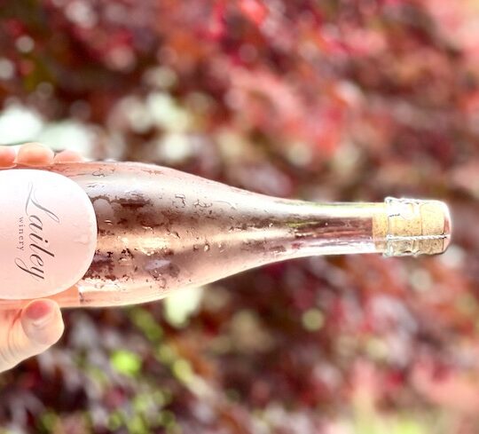 Everything’s coming rosés in Ontario, with a spotlight on Lailey pink wines