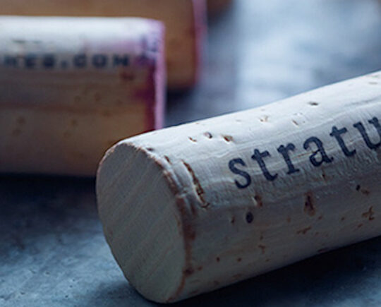 Stratus Vineyards’ youthful vibe, plus the new Alto wine makes its grand debut