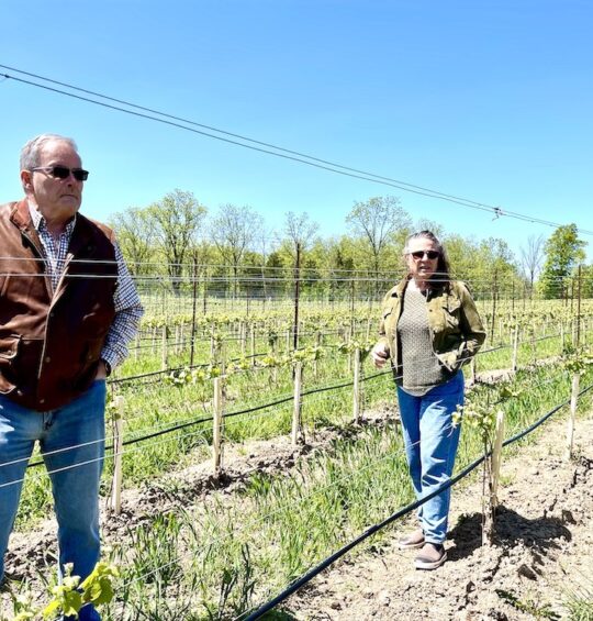 Niagara winemaker took the long way home and it was well worth the wait