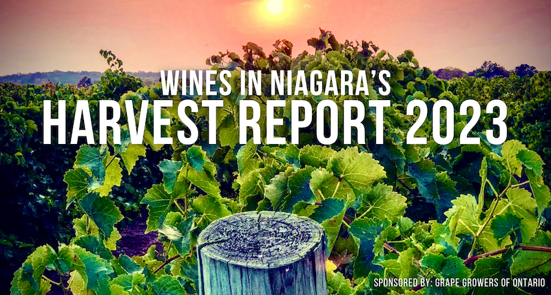 Niagara wine