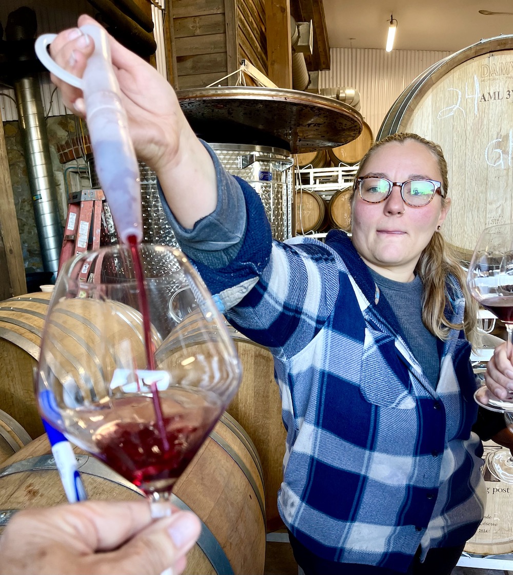 Tasting the first 2023 Dolcetto in barrel.