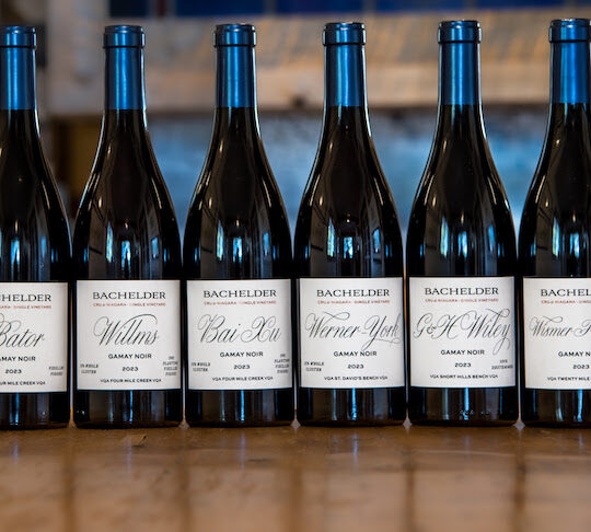 Terroir-ist Bachelder brings 11 Gamays to his growing family of Niagara wines