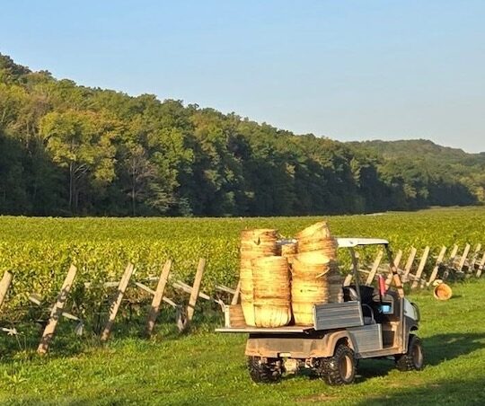 A warm hug to B.C. wineries from Niagara vineyards and those who dared A warm hug to B.C. wineries from Niagara vineyards and those who dared