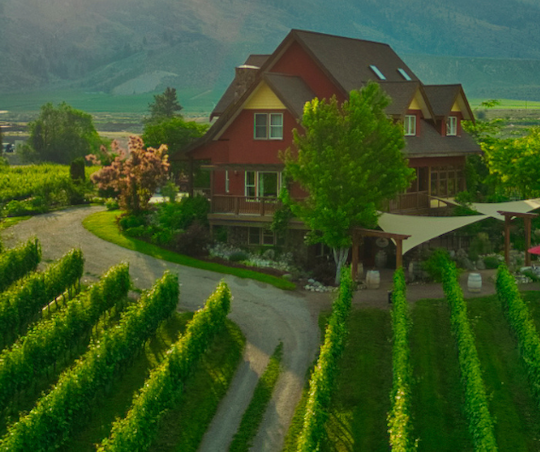 A first look at grown in Washington, made in B.C. white wines