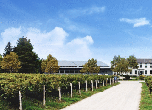 A new chapter begins for Niagara’s historic Ravine Vineyard in St. Davids