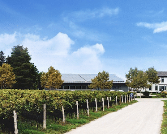 A new chapter begins for Niagara’s historic Ravine Vineyard in St. Davids