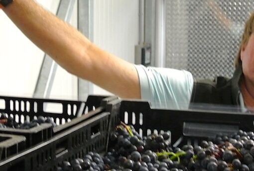 Tasting shines a light on aged appassimento style Niagara wines