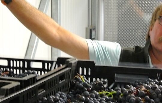 Tasting shines a light on aged appassimento style Niagara wines