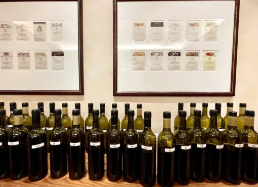 The ultimate cellar for tasting aged Canadian wines opens at Brock CCOVI