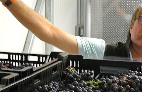 Tasting shines a light on aged appassimento style Niagara wines