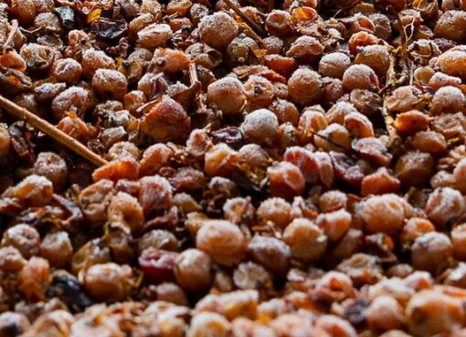 Tasting two of the rarest icewines on Earth — both from Niagara