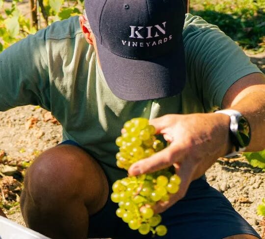 Harvest Report 2025 Part II: High praise from the rest of Ontario