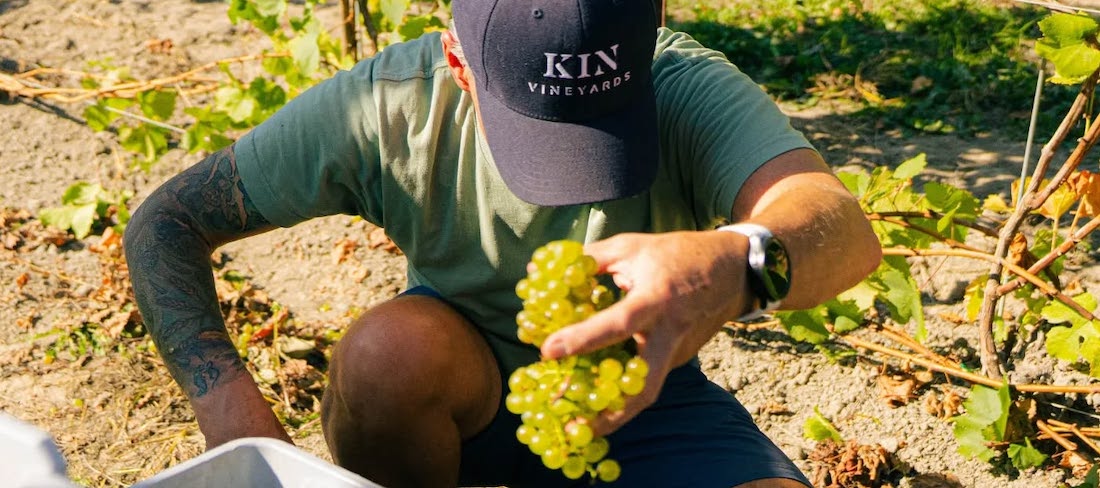 Harvest Report 2025 Part II: High praise from the rest of Ontario