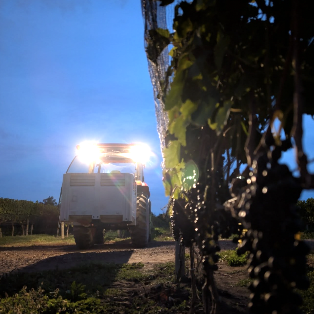 Ontario Vintage Charts all the way back to 1998 with 2025 just added