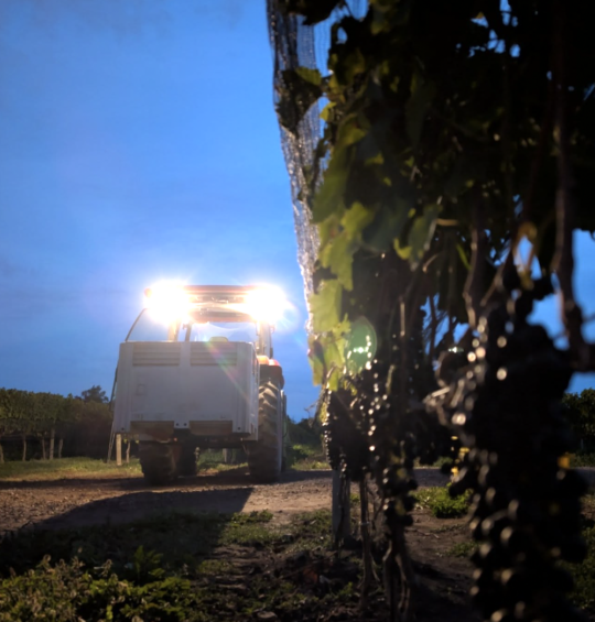 Ontario Vintage Charts all the way back to 1998 with 2025 just added