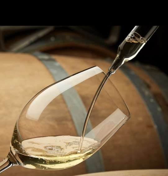 ‘An artist with a camera,’ Steven Elphick has passed away