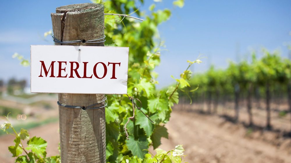 Merlot