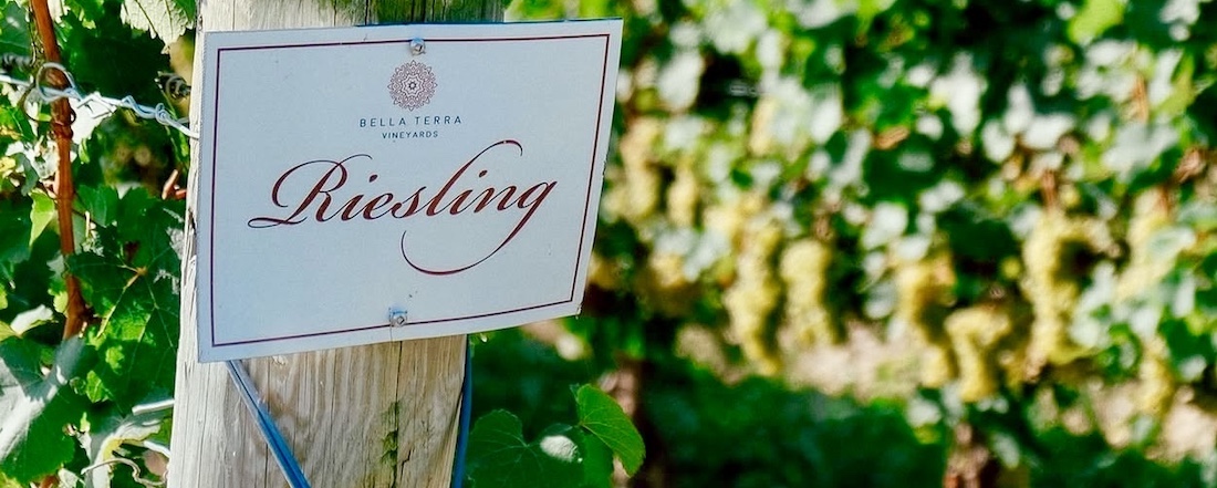 Niagara Riesling needs more than a warm birthday hug once a year