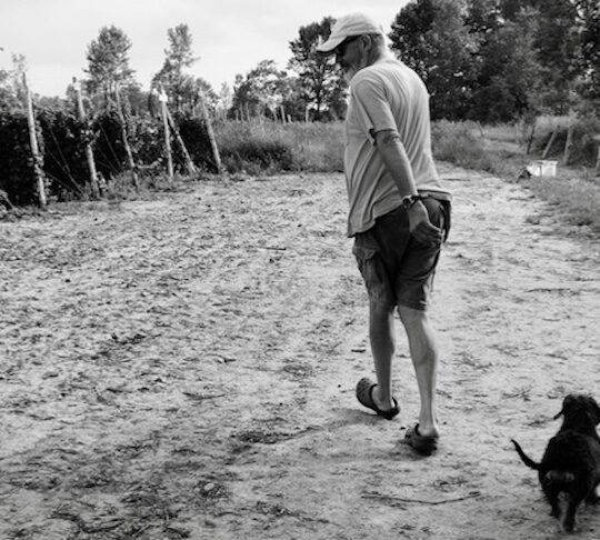 Message in a bottle from a thrilling Pinot release at PEC’s Last House Vineyard