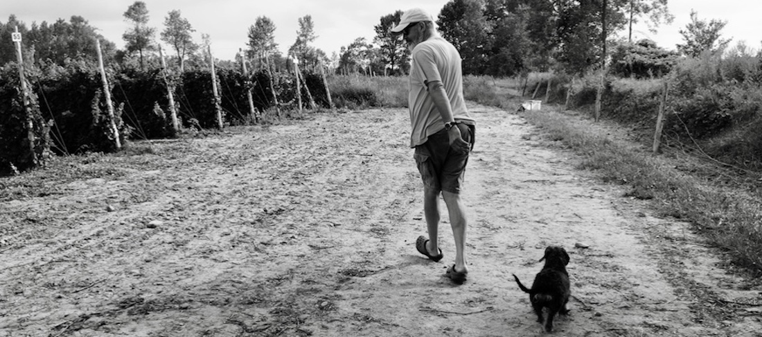 Message in a bottle from a thrilling Pinot release at PEC’s Last House Vineyard