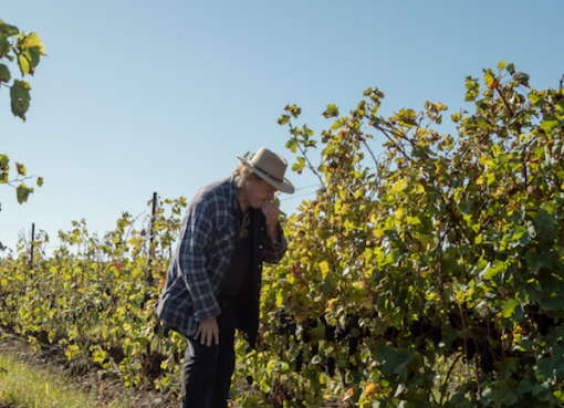 25 years of hits, B-sides and classics at PEC’s Rosehall Run