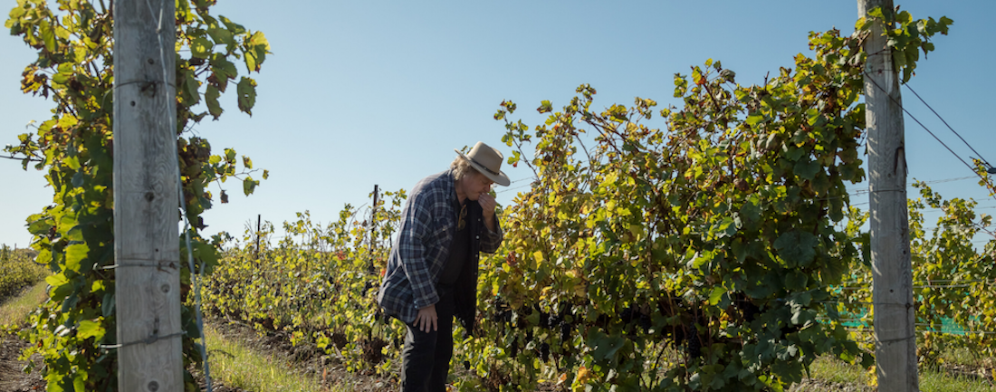 25 years of hits, B-sides and classics at PEC’s Rosehall Run