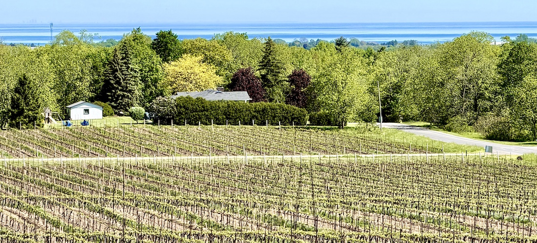 Flat Rock Cellars’ top 2025 wines are ‘powerful without heaviness’